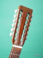 Martin D12-20 "12 String Guitar"_3