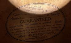 Gibson 【Antique】1912年製 L-1_10