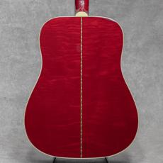 Gibson Dove / 2001_3