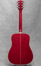 Gibson Dove / 2001_4