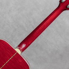 Gibson Dove / 2001_8