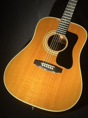 Guild 【Vintage】 D-50 【1975年製】 