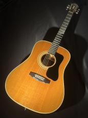 Guild 【Vintage】 D-50 【1975年製】 _2
