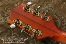 Gretsch 1955 6120 "Chet Atkins" Cow & Cactus with G Bland_5
