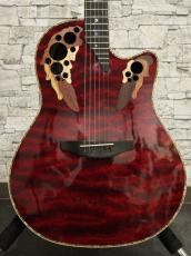 Ovation CE2000-NWB_13