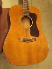 Guild D-25 (1975)