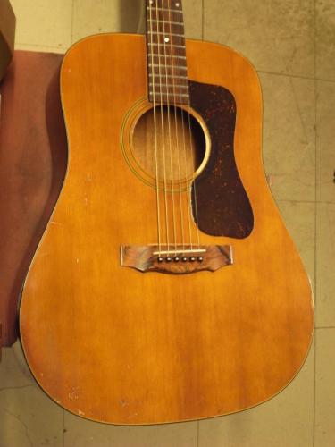 Guild D-25 (1975)