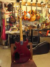 ARIA Pro II CS-350_3