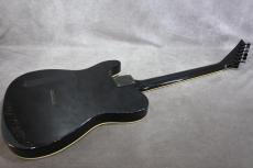 FERNANDES TE-95HT 【TOMOYASU HOTEI MODEL】_2