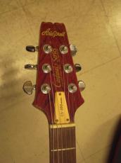 ARIA Pro II CS-350_5