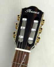 Ibanez 【24回まで無金利OK!】TOD10N-TKF【ティム・ヘンソン氏シグネチャーモデル!】_5