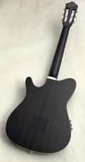 Ibanez 【24回まで無金利OK!】TOD10N-TKF【ティム・ヘンソン氏シグネチャーモデル!】_9