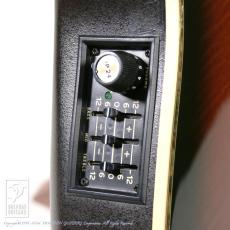 Ovation N868_13