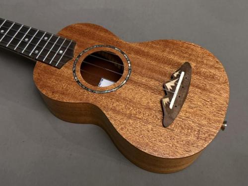 TODO MUSIC UTD-B10S Soprano