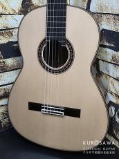 Francisco Munoz フランシスコ・ムニョス Especial "Homenaje" 松・グリーンエボニー 20フレット 最新作! 【日本総本店2F 在庫品】
