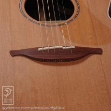 Lowden F-35C EB/SRW_11