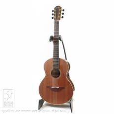 Lowden WL-35 WA/SRW_2