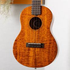 KIWAYA KPT-1K/E_2