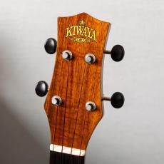 KIWAYA KPT-1K/E_6