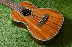 DCT DUC-150K Concert