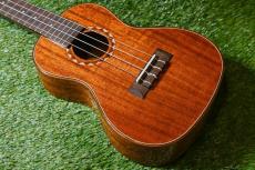DCT DUC-600M Concert