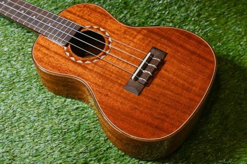 DCT DUC-600M Concert