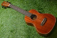 DCT DUC-600M Concert_2