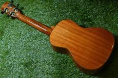 DCT DUC-600M Concert_4