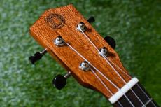 DCT DUC-600M Concert_5