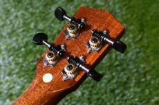 DCT DUC-600M Concert_6