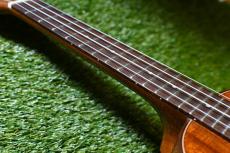 DCT DUC-600M Concert_8