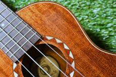 DCT DUC-600M Concert_12