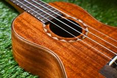 DCT DUC-600M Concert_13