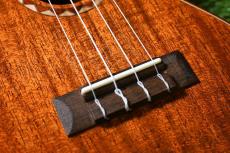 DCT DUC-600M Concert_14