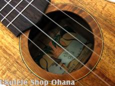 四弦舎 [MC381] コンサート ハワイアンカーリーコア #25483_5