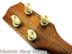 四弦舎 [MC381] コンサート ハワイアンカーリーコア #25483_13