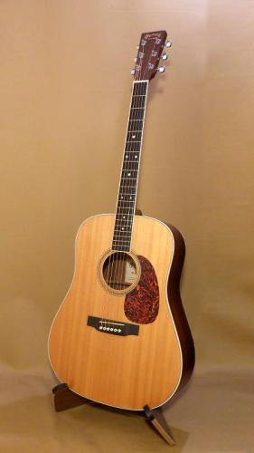 Martin D-16RGT