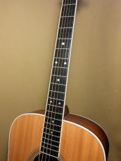 Martin D-16RGT_8