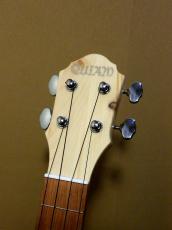 Quiam (クワイアン) Trough neck Concert Ezo Sakura_6