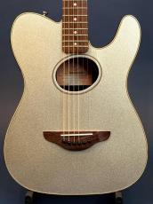 Fender Telecoustic_2