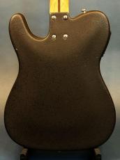 Fender Telecoustic_3
