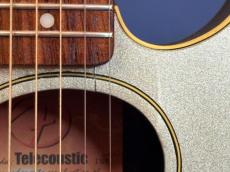 Fender Telecoustic_6