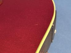 Fender Stratacoustic_6