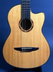YAMAHA NCX2000FM_2