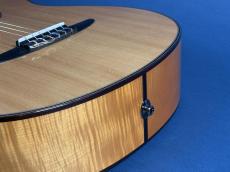 YAMAHA NCX2000FM_8