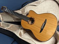YAMAHA NCX2000FM_9