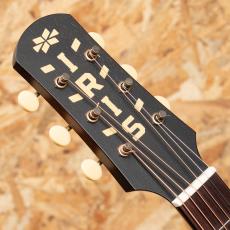 IRIS GUITAR COMPANY The MS-00 Model Tobacco Burst_8