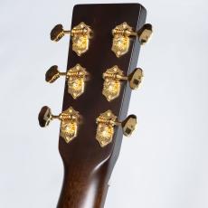 Martin GPC INCEPTION_5