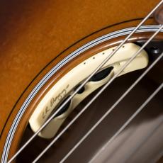 Martin GPC INCEPTION_10