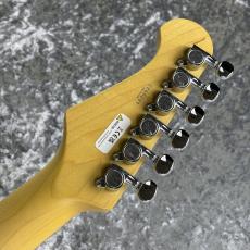 FUJIGEN Basic Classic Series BCTE100RBD-3TS ~3 Tone Sunburst~ #C240291【3.34kg】_11